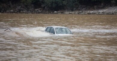होशियारपुर के रोपोवाल गांव में तेज बहाव में बह गई कार, ड्राइवर ने छलांग लगाकर बचाई जान