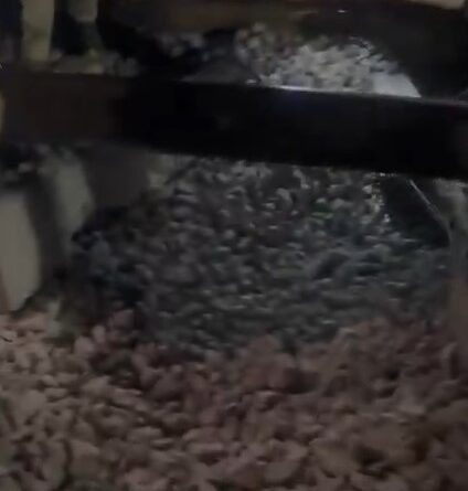 Punjab Railway Track Blast ने पंजाब में सनसनी फैला दी। राजपुरा-शंभू के बीच आधी रात धमाका, रेलवे ट्रैक को नुकसान, जांच एजेंसियां हाई अलर्ट पर।