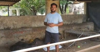 गोराया भैंस चोरी मामला में बड़ा खुलासा। गांव बड़ा पिंड में हथियारबंद लुटेरों ने प्रवासी परिवार को बंधक बनाकर चार भैंसें चोरी कर लीं। पीड़ित परिवार को लाखों रुपये का नुकसान हुआ, पुलिस जांच में जुटी।