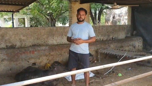 गोराया भैंस चोरी मामला में बड़ा खुलासा। गांव बड़ा पिंड में हथियारबंद लुटेरों ने प्रवासी परिवार को बंधक बनाकर चार भैंसें चोरी कर लीं। पीड़ित परिवार को लाखों रुपये का नुकसान हुआ, पुलिस जांच में जुटी।