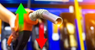 E20 Petrol Price को लेकर सरकार ने बड़ा दावा किया है। सरकार के अनुसार, अगर इथेनॉल ब्लेंडिंग नहीं होती तो दिल्ली में पेट्रोल की कीमत 125 रुपये प्रति लीटर तक पहुंच सकती थी। जानिए E20 ब्लेंडिंग से कैसे कम हुई कीमत और क्या हैं इसके फायदे।