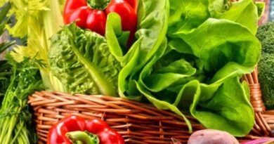 Monsoon Vegetable Buying Tips अपनाकर बारिश के मौसम में ताजी और सुरक्षित सब्जियां खरीदें। जानिए भिंडी, बैंगन, लौकी, प्याज, पालक, मेथी और मशरूम खरीदते समय किन बातों का ध्यान रखना चाहिए।