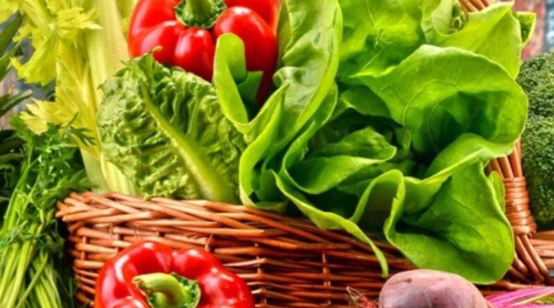 Monsoon Vegetable Buying Tips अपनाकर बारिश के मौसम में ताजी और सुरक्षित सब्जियां खरीदें। जानिए भिंडी, बैंगन, लौकी, प्याज, पालक, मेथी और मशरूम खरीदते समय किन बातों का ध्यान रखना चाहिए।