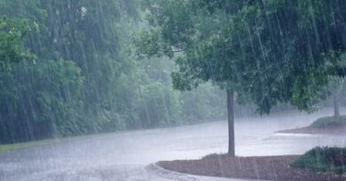 Punjab Weather: पंजाब में 11-12 जुलाई को मानसून फिर से सक्रिय होने जा रहा है। IMD ने कई जिलों में भारी बारिश को लेकर येलो अलर्ट जारी किया है। जानें मौसम का ताजा अपडेट, तापमान और किन इलाकों में होगी बारिश।