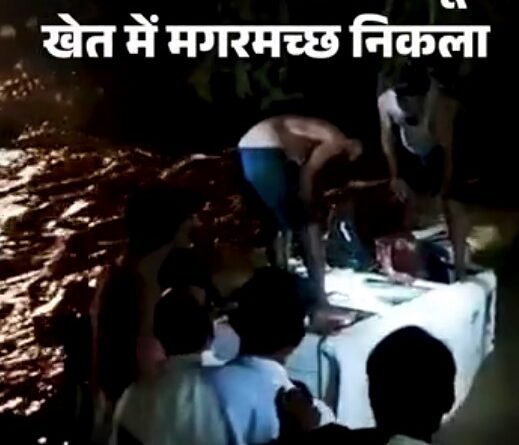 UP Monsoon Rain: उत्तर प्रदेश में मानसूनी बारिश का दौर जारी है। गोरखपुर में 168 मिमी बारिश रिकॉर्ड हुई, जबकि बहराइच, अंबेडकर नगर और संतकबीर नगर में भी भारी बारिश हुई। नदियां उफान पर हैं और कई जिलों में जनजीवन प्रभावित हुआ है।