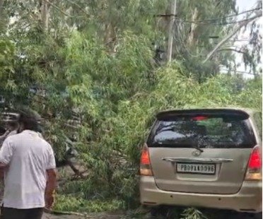 जालंधर तेज आंधी में पेड़ गिरा। कोर्ट रोड पर यूकेलिप्टस का पेड़ खड़ी गाड़ियों पर गिरने से दो कारें क्षतिग्रस्त हो गईं। बड़ा हादसा टला, स्थानीय लोगों ने प्रशासन की लापरवाही पर सवाल उठाए।