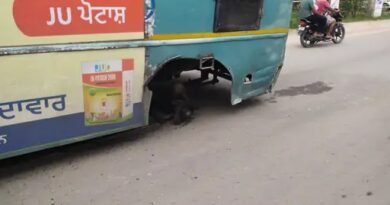 जालंधर रोडवेज बस हादसा में नकोदर एसडीएम कोर्ट के बाहर चलती पंजाब रोडवेज बस का अगला टायर निकल गया। बस करीब 20 फीट तक घिसटती रही और उछलता टायर एक स्विफ्ट कार से टकरा गया। पुलिस मामले की जांच कर रही है।