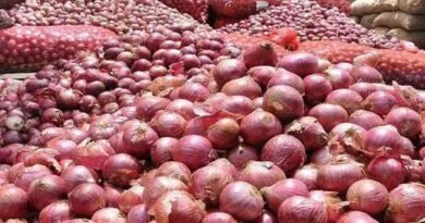 प्याज खरीद मूल्य बढ़ा के तहत केंद्र सरकार ने खरीद दर ₹1,875 से बढ़ाकर ₹2,125 प्रति क्विंटल कर दी है। नई कीमत आज से लागू हो गई है। जानें किसानों को कितना फायदा मिलेगा और सरकार का पूरा फैसला।