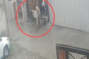 फगवाड़ा आवारा कुत्ता हमला मामले में मॉडल टाउन में अखबार वितरित कर रहे युवक पर आवारा कुत्ते ने हमला कर दिया। घटना CCTV में कैद हुई। घायल युवक का अस्पताल में इलाज जारी है, जबकि लोगों ने प्रशासन से कार्रवाई की मांग की है।