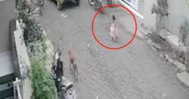 Beed Stray Dog Attack: महाराष्ट्र के बीड में घर के बाहर खेल रही 3 साल की बच्ची पर आवारा कुत्ते ने हमला कर दिया। बच्ची के चेहरे पर गंभीर चोटें आईं और 12 टांके लगाने पड़े।