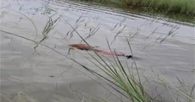 Motihari News: बिहार के पूर्वी चंपारण के बभनौली गांव में पोखर में डूबने से मां और चार मासूम बच्चों की दर्दनाक मौत हो गई। जानिए पूरा मामला, पुलिस जांच और स्थानीय लोगों के आरोप।