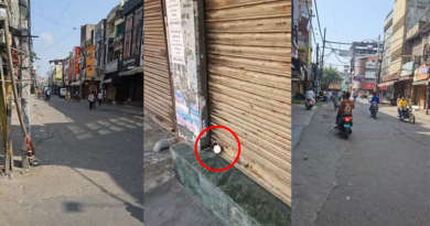 Jalandhar बंद हाईवे Update: जालंधर में वीरवार सुबह 9 से शाम 5 बजे तक बंद का ऐलान है। हाईवे खुले हैं और वाहनों की आवाजाही जारी है। जानें स्कूल, कॉलेज और मेडिकल सेवाओं का अपडेट।