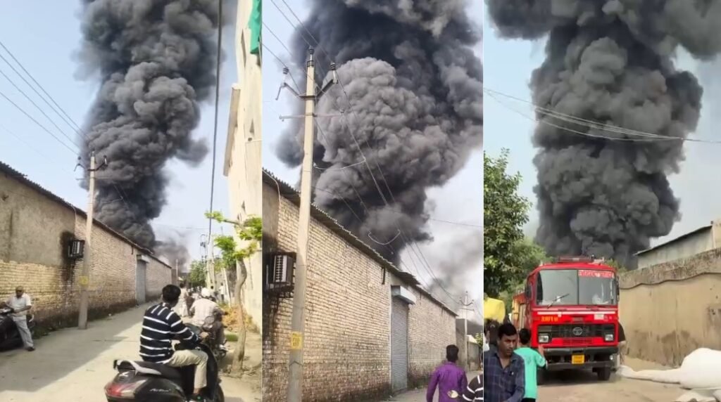 Modi Farm Factory Fire Jalandhar: भीषण आग से मचा हड़कंप, एक व्यक्ति घायल